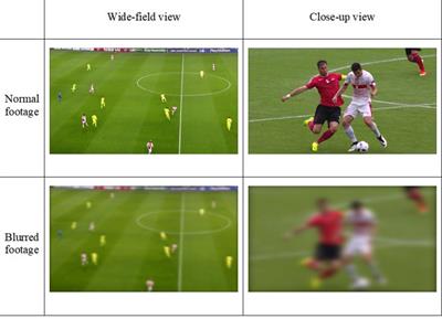 The Effect of Blurred Perceptual Training on the Decision Making of Skilled Football Referees